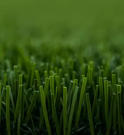 Artificial Grass